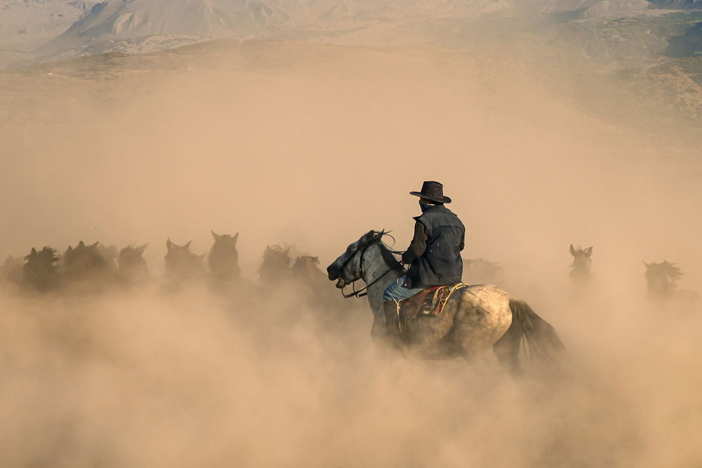 cowboy von Zühdü Bilgin