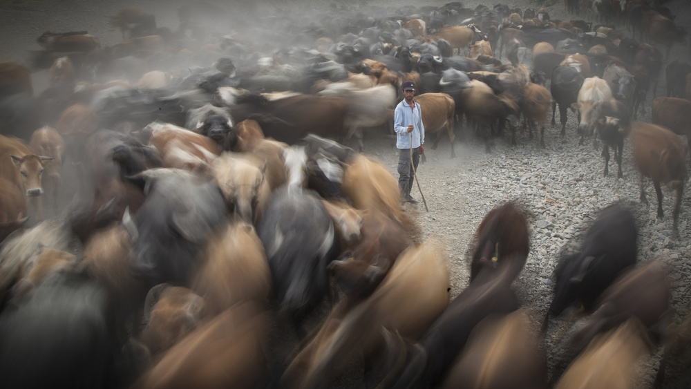 herd and shepherd von Zühdü Bilgin